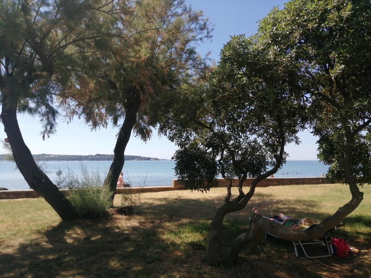 Apartment Vera, 80 M From The Sea Novigrad Istria Extérieur photo