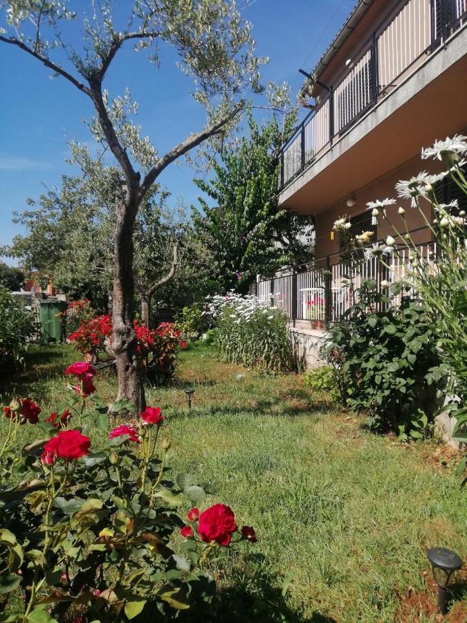 Apartment Vera, 80 M From The Sea Novigrad Istria Extérieur photo